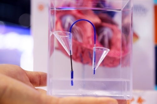 2023年宪法宣传周 法治文化主题普法宣传活动启动，聚焦兽医医疗器械领域