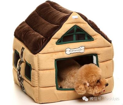 狗狗便便偏稀怎么办？居家观察与兽医辅助指南