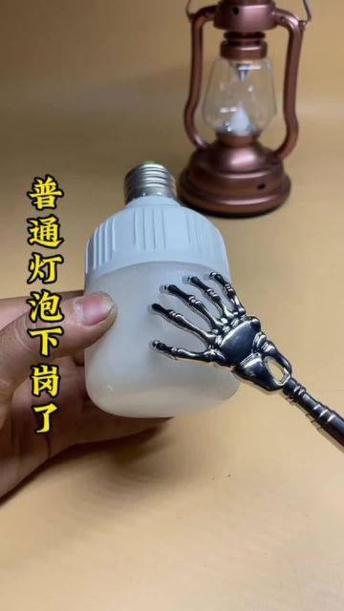 给爱宠与生活加点料 这些实用好物，兽医也在用！