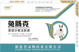 兔肠克 专业防治兔肚胀拉稀肠道疾病的兽药与配套器械方案