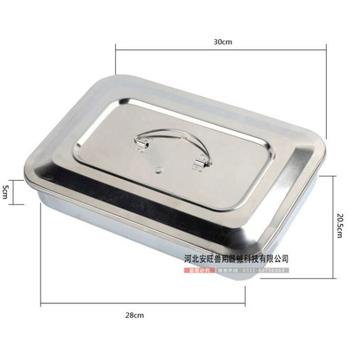 兽医用手术器械全览 从持针钳到缝合线的专业工具解析